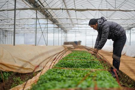 小拱棚育苗多久通风一次