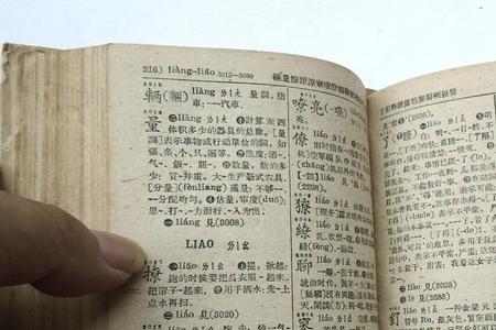 摘字在新华字典多少页