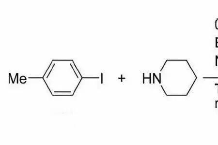 ndp作为解偶联剂的原理