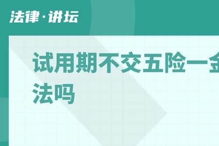 进出口银行不交五险一金吗