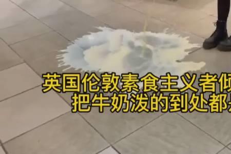 素食主义是虚伪还是无知