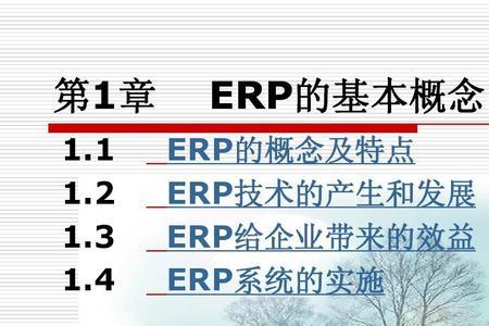 ERP的发展过程