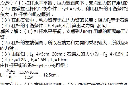 物理杠杆平衡实验怎么记录