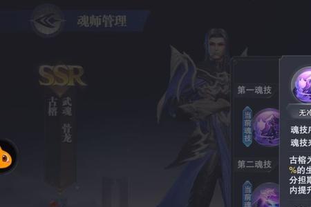 斗罗大陆魂师对决魂王魂环