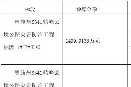 公开招标公告挂网要求