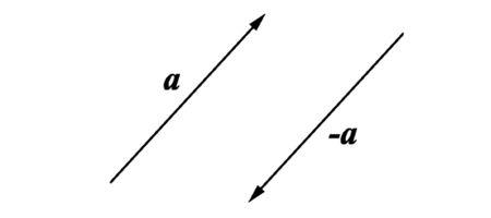 向量方向相反说明什么
