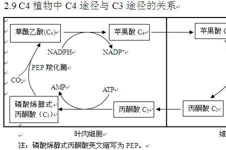 消耗nadh的生物膜是什么