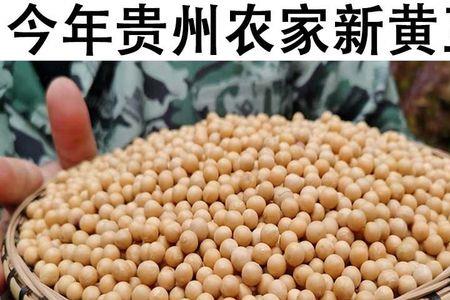 一斤黄豆能做几斤内脂豆腐