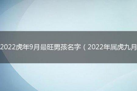 男孩名字简短干净虎年