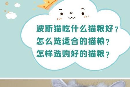 10个月的小猫能吃成猫粮吗