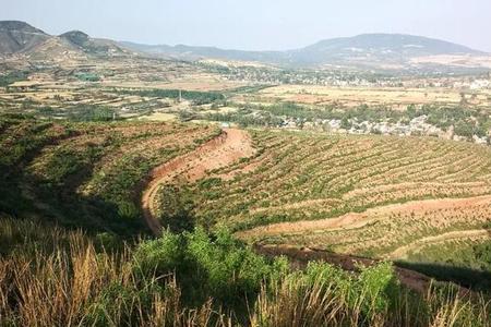 山坡与山岗的区别