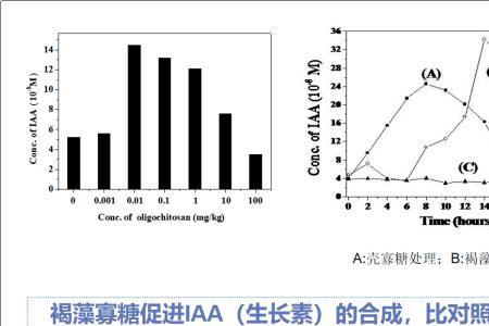 褐藻寡糖和海藻糖的区别