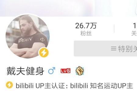 b站怎么看up投的什么区