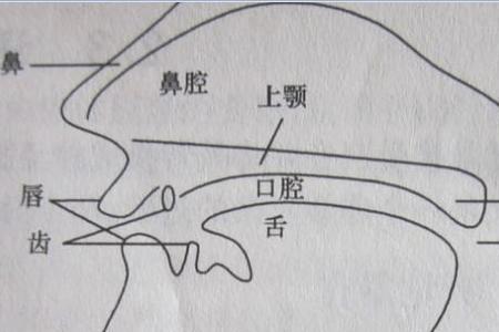 面罩共鸣和头腔共鸣是一样的吗