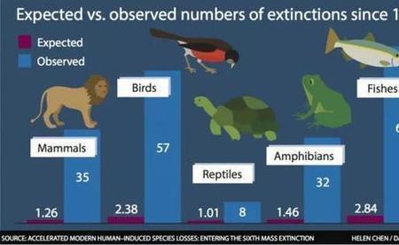 生物6大属性