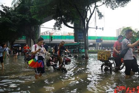 浅水浸死人是什么意思