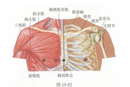 什么叫膻音