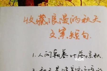 4-6个字的简短文案干净