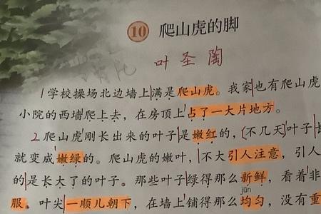 爬山虎的脚主页写的是什么