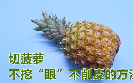 全网都在说的菠萝什么意思