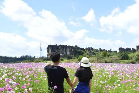 花海石林好玩吗