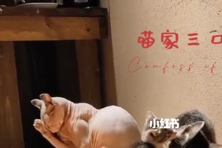 三犬口里面有几个字组成