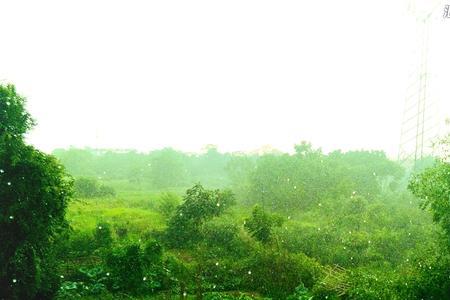 夏季为什么有阵雨