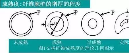 95棉的优缺点