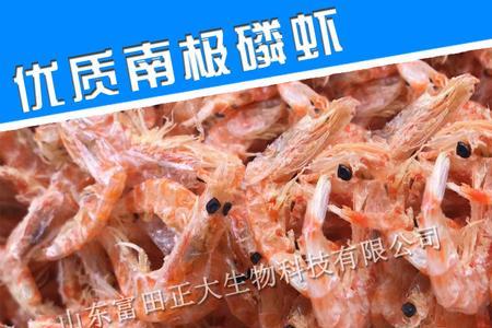 南极磷虾淡水钓鱼钓法