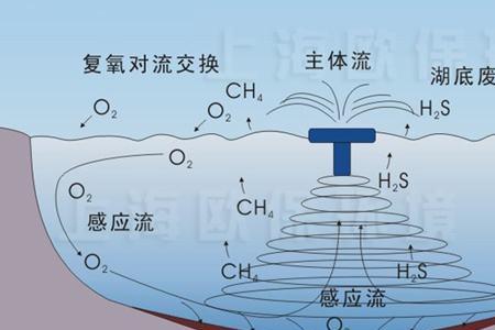 溶解氧过饱和是什么意思