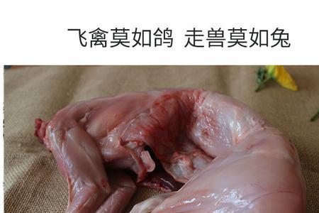 肉兔的肉料比