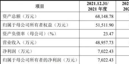 娃哈哈集团一年利润