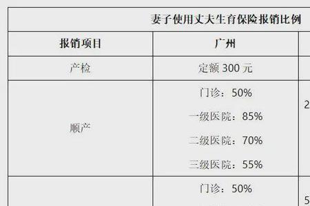 南宁社保可以用老公的生育险吗