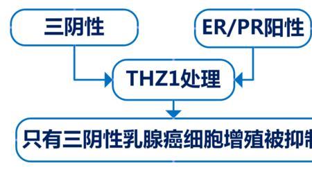 begin的延续性结构