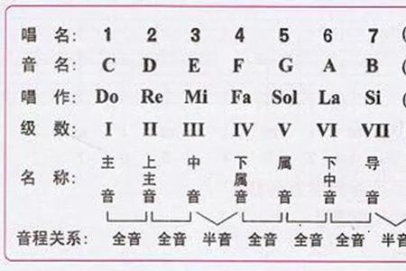 下主音和导音的区别