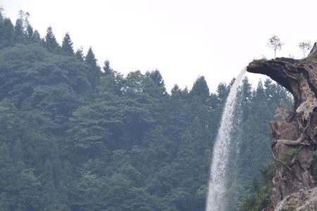 南宝山森林公园门票是多少