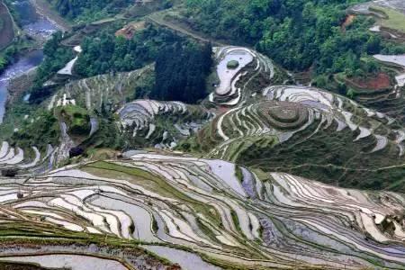 田埂是什么意思