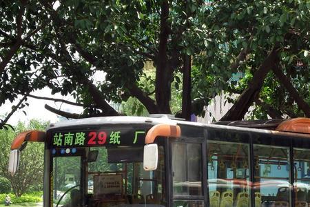 广州303路公交车路线