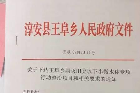 小微水体整治实施方案