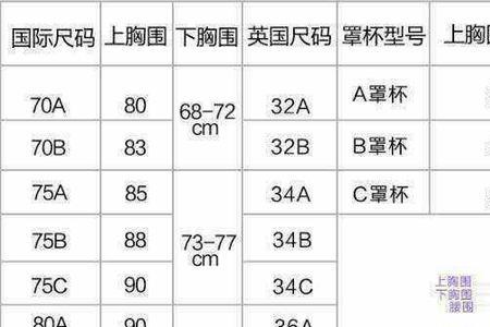 上胸围93下胸围81穿多少码