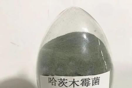 哈茨木霉菌t22和g41的区别