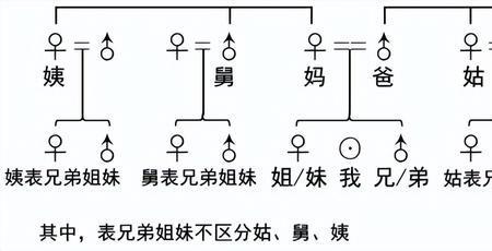 妈妈的姐妹官方称呼