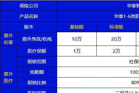 华泰意外保险是哪个公司的