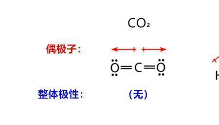 氢气为什么是极性分子