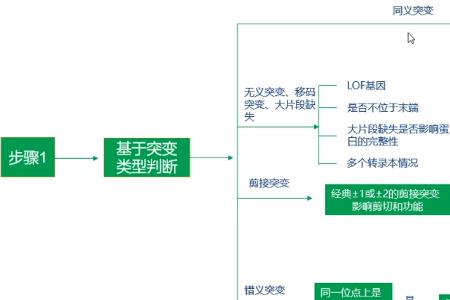 什么是胚系基因