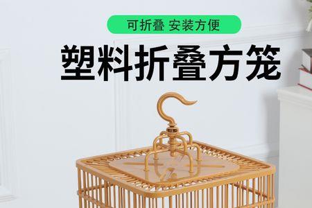 黄雀在笼中可以抱窝吗