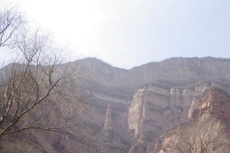 嶂石岩有野兽吗