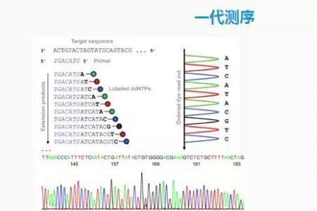 高通量环境是什么意思