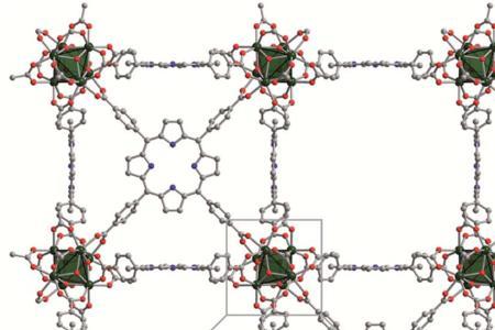 不以碳链为骨架的生物大分子