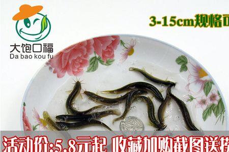 黄泥鳅和黑泥鳅的区别